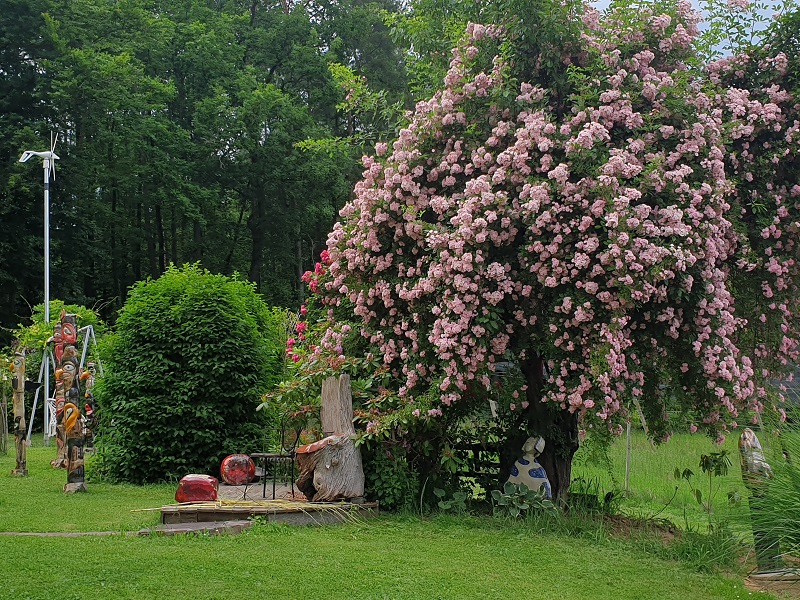 geschmückter Baum01 Thumb